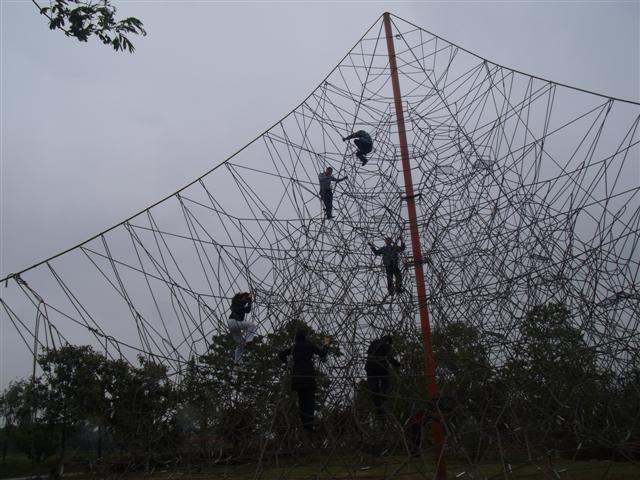 勇攀高峰